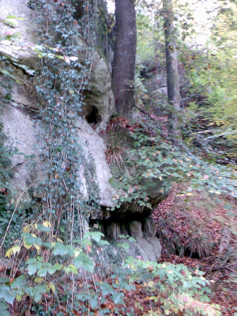 12.jpg (368231 bytes)